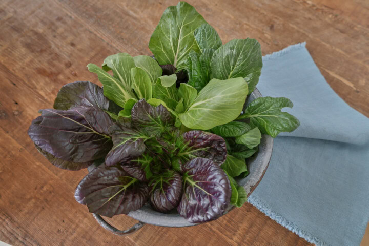 freshly-harvested bok choy in a colander with a napkin alongside
