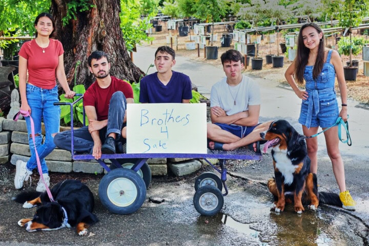 5 grown siblings with 2 dogs. The sisters are holding the dogs' leashes and standing on the outside of a wagon that holds their 3 brothers holding a sign that says "brothers 4 sale."