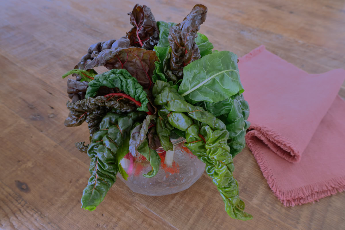 freshly-harvested swiss chard leaves and stems in a vase of water with a napkin alongside