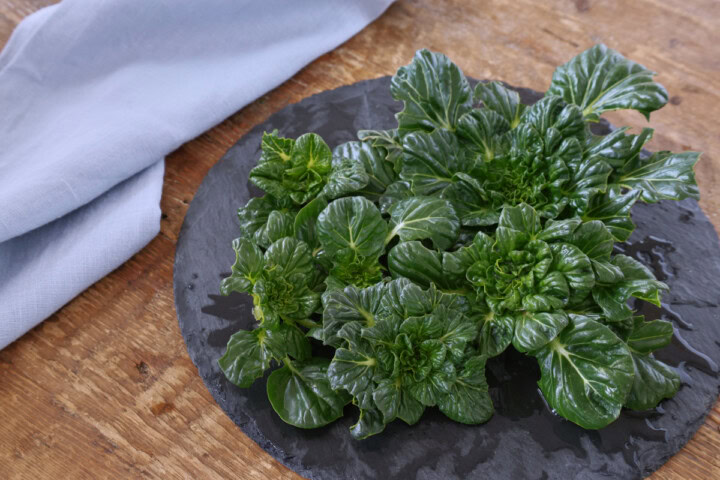 green tatsoi plants on a stone tray with a napkin alongside